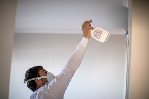 Best Bathroom Mold Remediation in Las Cruces, NM