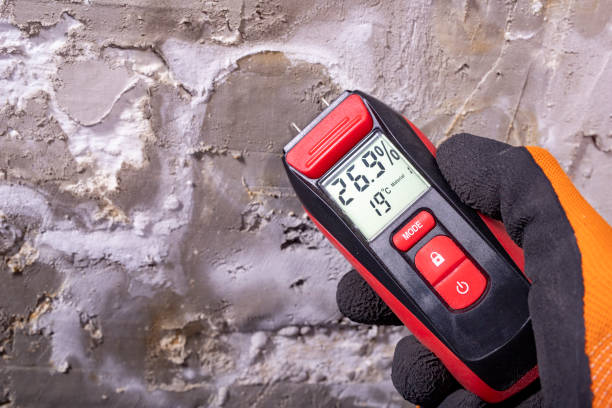 Best Emergency Mold Remediation in Las Cruces, NM